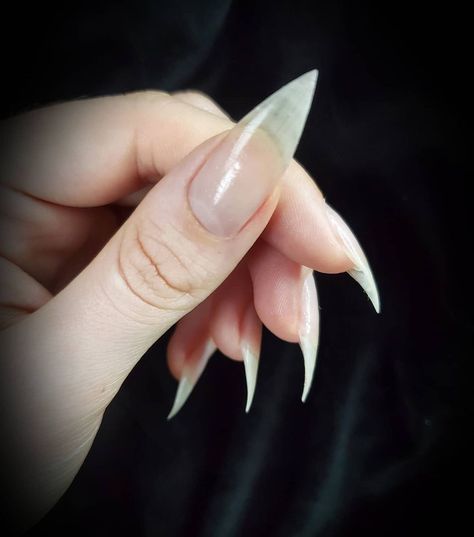 Vampire Nails Gothic, Nails Long Natural, Natural Stiletto Nails, Cat Claw Nails, Nails Gothic, Vampire Nails, Long Natural Nails, Sharp Nails, Curved Nails