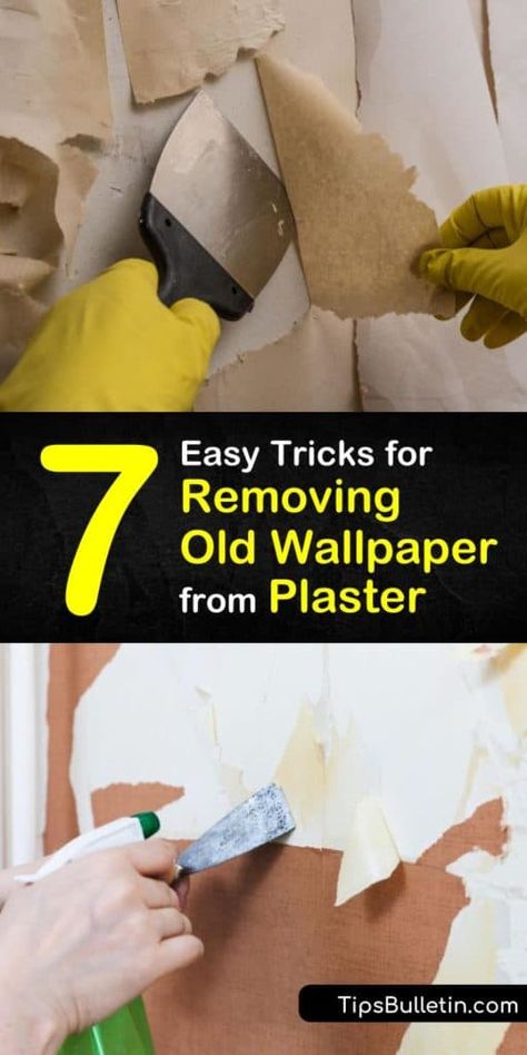 Remove Old Wallpaper, Wallpaper Over Wallpaper, Remove Wallpaper Glue, Plaster Walls Diy, Taking Off Wallpaper, Wallpaper Removal Solution, Removing Wall, Painting Over Wallpaper, Removing Old Wallpaper