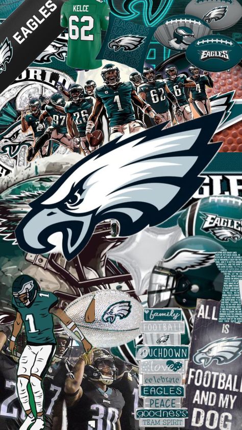 Philadelphia Eagles Shoes, Football Collage, Beautiful Sister Quotes, Football Background, Philly Eagles, Fly Eagles Fly, Eagles Fans, Eagles Football, The Game Is Over