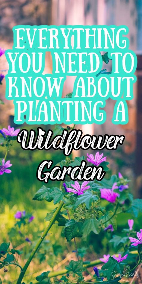 Wildflower Home Garden, Wildflowers Around House, Growing A Wildflower Garden, Wild Flowers Yard, Wildflower Mix Garden, Wildflower Garden Bed Front Yard, Wildflower Pollinator Garden, Northeast Wildflower Garden, Backyard Wildflower Garden Flower Beds