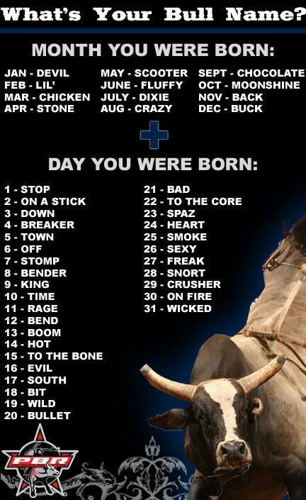 What's your Bull name? Bull Names, Bull Riding Quotes, Pbr Bull Riders, Pbr Bull Riding, Rodeo Quotes, Funny Road Signs, Western Quotes, Bucking Bulls, Professional Bull Riders