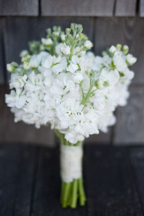 Stock Bridesmaid Bouquet, Stock Wedding Bouquet, Simple Bridesmaid Bouquets, Yellow Wedding Bouquet, Bridesmaid Bouquet White, Nantucket Wedding, White Bridesmaid, Stock Flower, White Bouquet