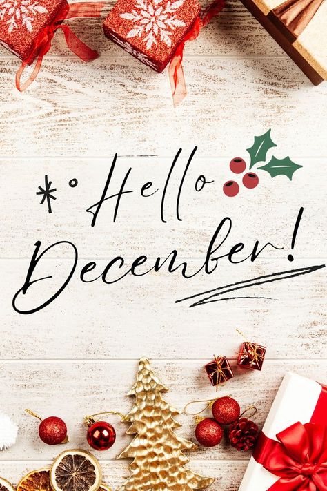 Christmas Hello December Month, Hello December Images, Fall In Love With Reading, December Images, December Month, Macintosh Apple, Book Subscription Box, Hello December, Holiday Gift Box