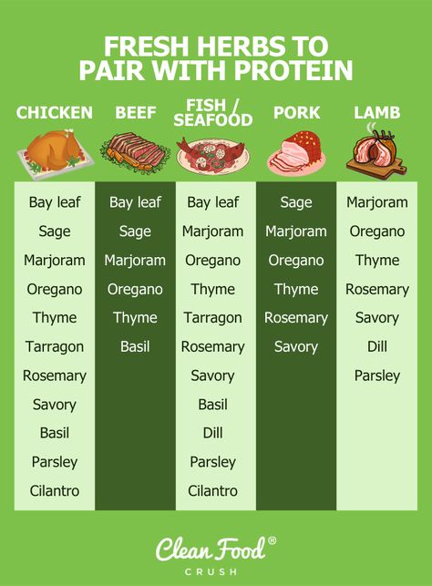 Herbs Cooking, Herb List And Uses, Cooking With Herbs, Must Have Spices And Herbs, Essential Herbs And Spices, Herbs And Spices Safe For Dogs, Complete List Of Herbs And Spices, Cooking With Fresh Herbs, Fresh Herb Recipes