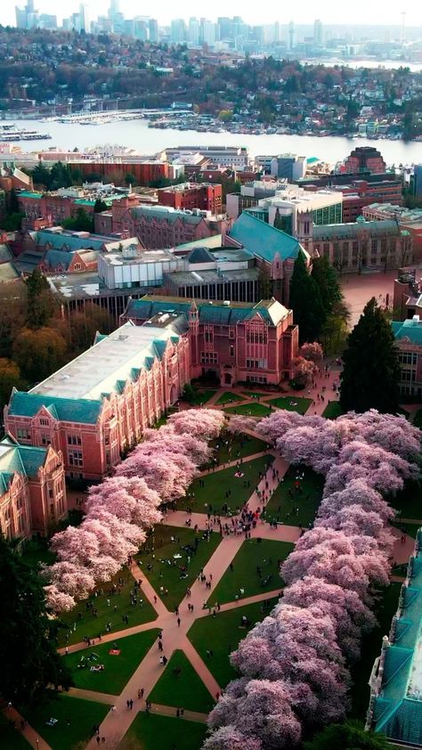 U Of Washington, Uw Seattle Aesthetic, Seattle Fall Aesthetic, University Of Washington Aesthetic, Seattle Washington Aesthetic, Washington State Aesthetic, U Washington, Uw Seattle, Washington Aesthetic