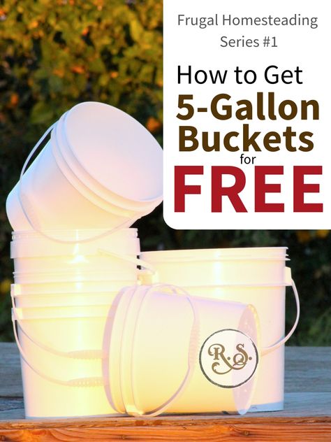 Bucket Storage Ideas 5 Gallon, 5gallon Bucket Garden, 5 Gal Bucket Garden, Bucket Gardening 5 Gallon Stand Plans, Homestead Hacks, Five Gallon Bucket Garden Stand, Bucket Garden Ideas, Bucket Garden, 5 Gallon Bucket Garden