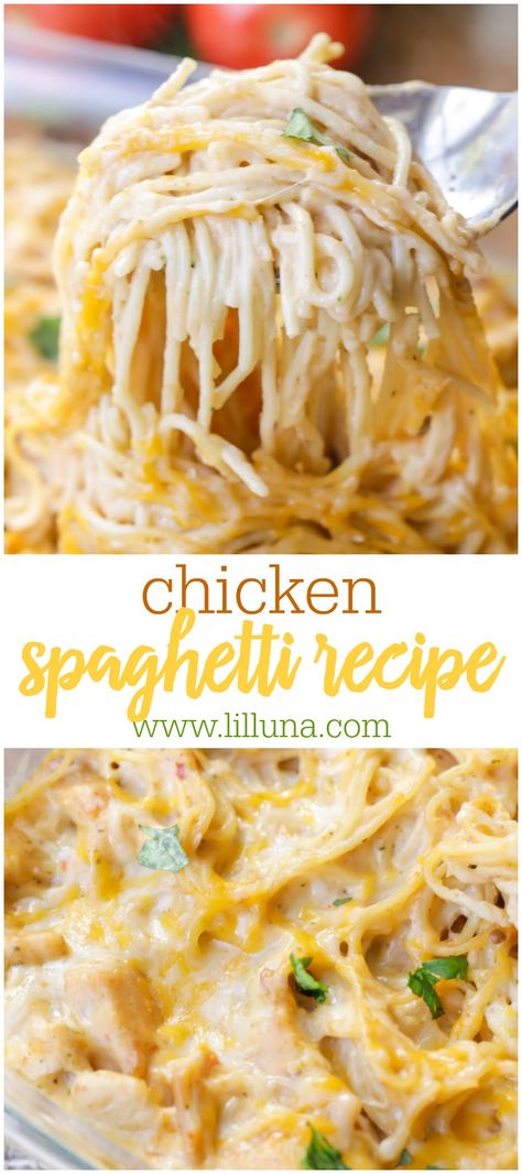 A new twist on your favorite pasta dinner! This easy recipe calls for chicken, spaghetti noodles, cream of chicken, salsa, sour cream and cheese, making it the epitome of comfort food. Everyone will love Chicken Spaghetti! Easy Dinner Recipes With Instructions, Cream Of Chicken Soup Recipes Pasta, Taco Chicken Spaghetti, What Can I Make With Cream Of Chicken, Spaghetti And Chicken Recipes Easy, What Can I Make With Spaghetti Noodles, Chicken Cream Cheese Spaghetti, Condensed Cream Of Chicken Soup Recipes, Chicken Pasta With Cream Of Chicken Soup