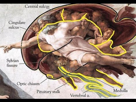 ¿Qué hay detrás de la pintura "La creación de Adán" de Miguel Ángel? — Steemit Bizarre Paintings, Creation Of Adam Painting, Painting Meaning, Adam Painting, Sistine Chapel Ceiling, Giovanni Boldini, The Creation Of Adam, John William Waterhouse, Sistine Chapel