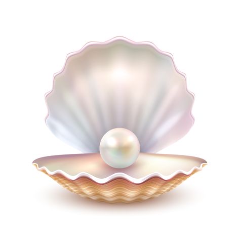 Download the Pearl Shell Realistic Close Up Image 471171 royalty-free Vector from Vecteezy for your project and explore over a million other vectors, icons and clipart graphics! Leaflet Template, Shell Drawing, Pearl Logo, Oyster Pearl, Sale Flyer, Banner Vector, Sale Banner, Pearl Shell, Abstract Watercolor