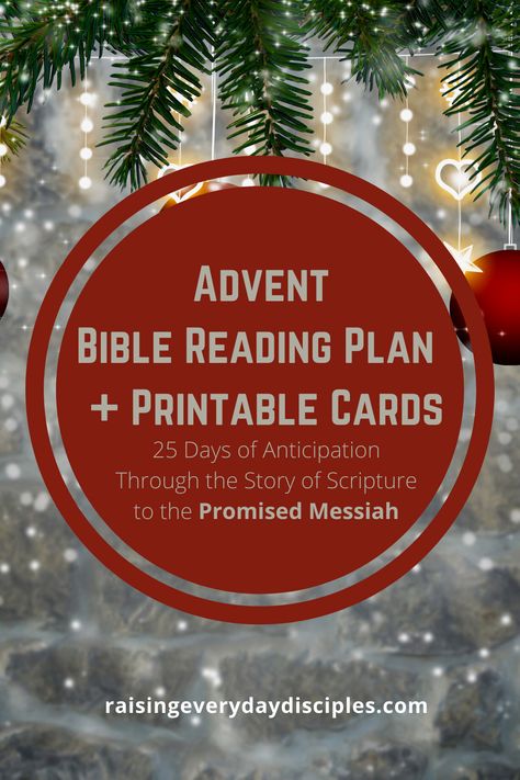 Advent Bible Reading Plan, Advent Scripture, Advent Readings, Family Ministry, Advent Devotionals, Ladies Group, Biblical Parenting, Advent Christmas, Biblical Womanhood