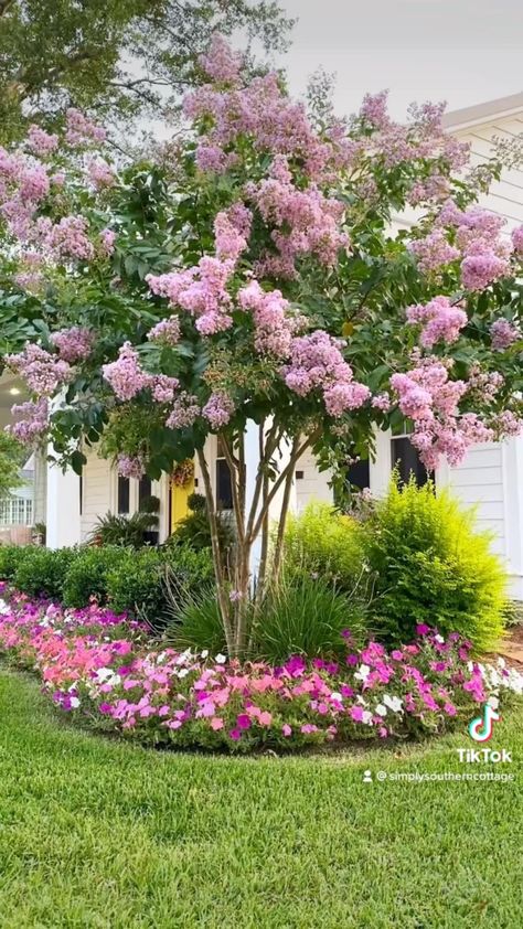 Front Porch Landscape, Modern Front Yard Landscaping Ideas, Ideas Garden Design, Landscaping Inspiration, Front Landscaping, Fence Landscaping, Front House Landscaping, Pollinator Garden, Wedding Garden