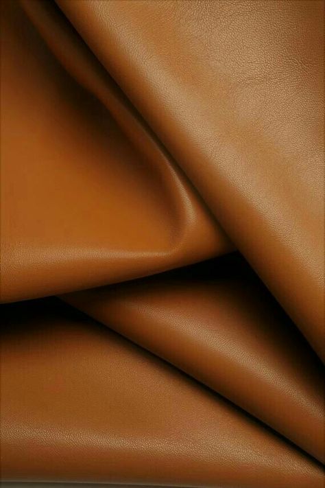 Gm Aesthetic, Camel Color Palette, Modern Organic Decor, Skin Palette, Materials Board Interior Design, Logo Design Set, Color Boards, Fabric Photography, Leather Wall