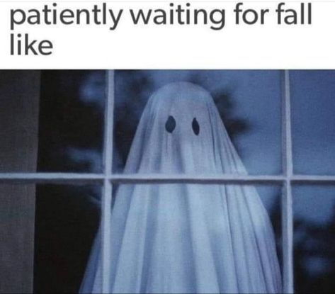 Waiting For Fall, Halloween Rules, Fall Sayings, Halloween Antiques, Spooky Memes, October Country, Fall Memes, Halloween Jokes, Horror Fanatic