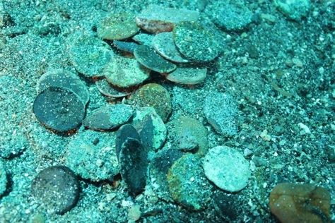 Ancient bronze coins | 8 Incredible Sunken Treasures Discovered Irish Mermaid, Marine Archaeology, Sunken Ships, Spanish Treasure, Ship Wrecks, Sunken Treasure, Lost Treasure, Sunken City, Underwater City