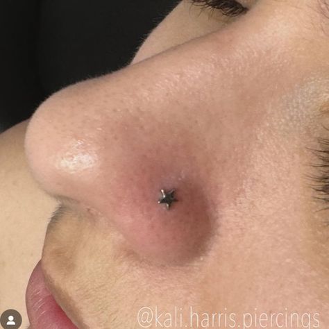 🔥KALI HARRIS🔥 @kali.harris.piercings will be with us July 7th 12-7pm 🪭 walk ins, no appointment necessary but if you have any questions feel free to message her ! She will be with us every first Sunday of each month ! 🌪️🌟Piercings available: Lobe, Helix, Conch, Tragus, Flat, Stacked Lobes, and Nostril. Piercings start at $30 including basic titanium jewelry with upgrades in gold and fancy titanium available . . . #sanantoniotexas #satx #truebelieverstattoosatx #sanantonio #flashtattoodays #... Stacked Lobes, Nostril Piercing Jewelry, Dream Piercings, Piercing Nostril, Nostril Jewelry, Flat Piercing, Piercing Stud, Nostril Piercing, Nose Piercing Stud