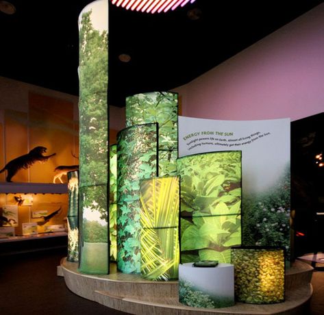 Forest Exhibition, Plant Museum, Nature Exhibition, Exhibition Display Design, مركز ثقافي, Nature Museum, Exhibition Booth Design, Museum Of Natural History, Exhibition Display