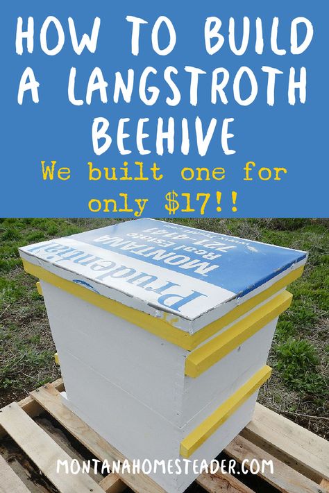 How to build a 10 frame Langstroth Bee Hive for cheap. We built one for only $17! Building A Beehive, Honey Bee Facts, Bee Hives Diy, Langstroth Hive, Bee Hive Plans, Frames Diy, Backyard Bee, Raising Bees, Backyard Beekeeping