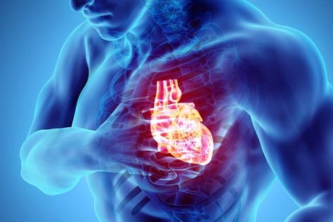 What You Should Know About Cardiac Arrest Heart Structure, Enlarged Heart, Medical Emergency, Congenital Heart, Heart Muscle, Coronary Arteries, Sensitive People, Heart Problems, Cardiovascular Disease