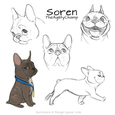 Dog On Leash Drawing, French Bulldog Drawing Easy, How To Draw Dogs, Dog Face Drawing, Cartoon Dog Drawing, French Bulldog Drawing, Bulldog Drawing, Dog Design Art, French Bulldog Art