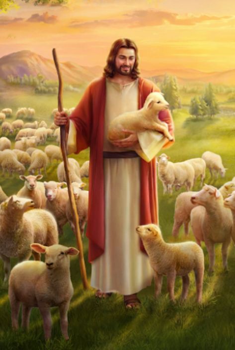 Mat 18:12–14 How think you? if a man have an hundred sheep, and one of them be gone astray, does he not leave the ninety and nine, and goes into the mountains, and seeks that which is gone astray? And if so be that he find it, truly I say to you, he rejoices more of that sheep, than of the ninety and nine which went not astray. Even so it is not the will of your Father which is in heaven, that one of these little ones should perish.
#God
#Christian
#Love
#Faith
#seeking_God
#Knowing_God 
#Bible Christ The Good Shepherd, Woord Van God, Jesus Our Savior, Jesus Loves Us, Jesus Christ Painting, Jesus Christ Artwork, Pictures Of Christ, Jesus And Mary Pictures, Jesus Photo