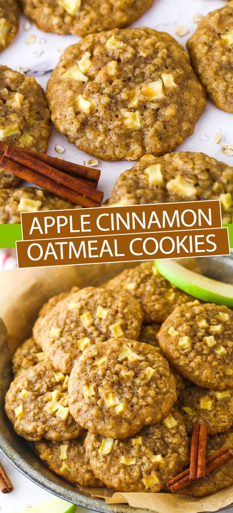 These Apple Cinnamon Oatmeal Cookies are a soft, tender cookie that’s loaded with cinnamon and chunks of apples! They are delicious year-round, but especially in the fall! Cinnamon Oatmeal Cookies Chewy, Chewy Apple Cinnamon Oatmeal Cookies, Healthy Apple Cookies Oatmeal, Keto Apple Cookies, Cinnamon Apple Oatmeal Cookies, Healthy Oatmeal Apple Cookies, Fresh Apple Oatmeal Cookies, Cinnamon Apple Cookies Recipe, Carmel Apple Oat Cookies