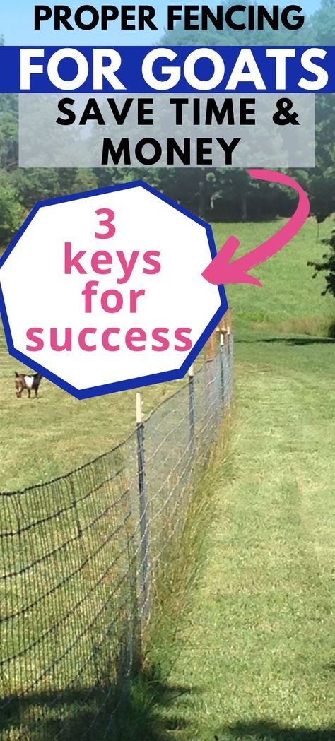 Diy Goat Pen Fence, Diy Goat Pens Cheap, Goat Fencing Ideas Diy, Cheap Goat Fence Ideas, Building A Goat Pen, Goat Paddock Ideas, Goat Run Ideas, Goat Pallet Shelter, Goat Shelter Ideas Diy