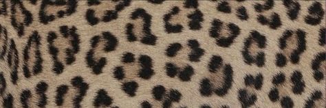 Animal Print Y2k, Y2k Header, Twt Layout, Print Twitter, Cute Headers For Twitter, Twitter Header Pictures, Cute Banners, Twitter Header Photos, Cute Headers