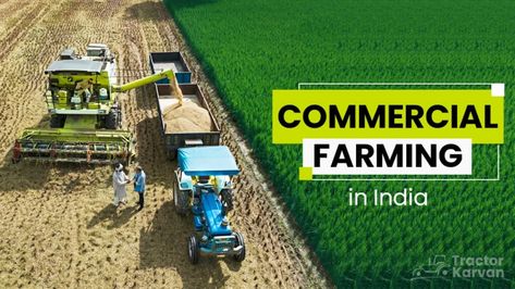 Commercial farming plays a crucial role in India's agricultural sector, contributing significantly to the country's economy. With its vast land resources and diverse climate, India has the potential for large-scale agricultural production. In this blog post, we will explore What is commercial farming in India, shedding light on its importance and potential for growth. Commercial Farming, Agricultural Sector, Ground Beef Pasta, Cash Crop, Livestock Farming, Getting To Know, Shed