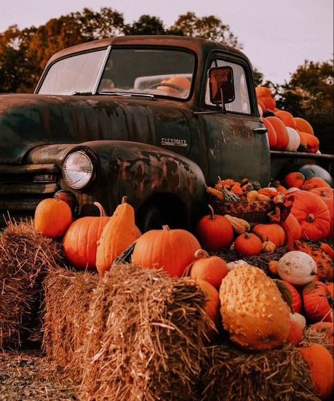 Can't wait for pumpkin patches and apple cider donuts 🍂🍁🎃 📸: Will credit owner Fall Atheistic, Country Fall Outfits, Pumpkin Vibes, Fall Homescreen, Fall Widgets, Autumn Phone Wallpaper, Fall Board, Ber Months, Fall Boards