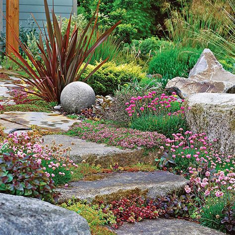 Slope Garden, Cerca Natural, Drought Tolerant Garden, Drought Tolerant Landscape, Garden Plan, Sloped Garden, Kangaroo Paw, Shade Perennials, Hardy Perennials