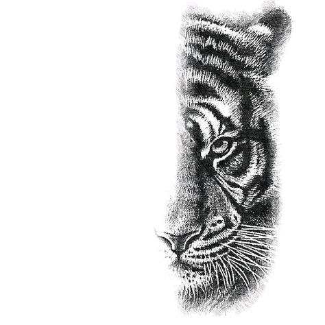 Gg Tattoo, Rune Tattoo, Big Cats Art, Cats Art, Simplistic Tattoos, Meus Pins, Beauty Tattoos, Tattoo Idea, Big Cats