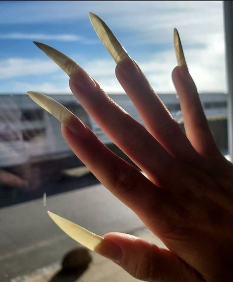 horror long natural nails Extremely Long Nails, Real Long Nails, Natural Nails Long, Natrual Nails, Nail Designs Bling, Long Natural Nails, Long Fingernails, Long Stiletto Nails, Claw Nails