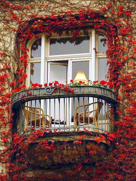 Ivy Balcony, Paris, France photo via sophy @csm79 @rjm1211 found our balcony in Paris! ;) Beautiful Windows, Have Inspiration, France Photos, Window Boxes, Oscar Wilde, Window Sill, Railing, The Window, My Dream Home