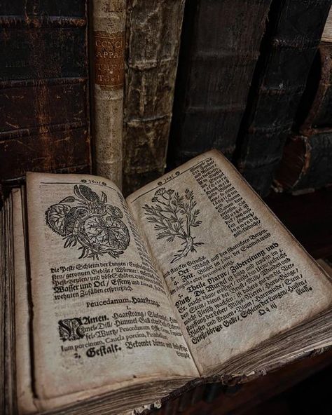 Alchemy Book Aesthetic, Alcamist Aesthetic, Dark Herbalist Aesthetic, Dark Alchemy Aesthetic, Antique Books Aesthetic, Medieval Doctor Aesthetic, Magic Books Aesthetic, Ancient Books Aesthetic, Grimore Books Aesthetic