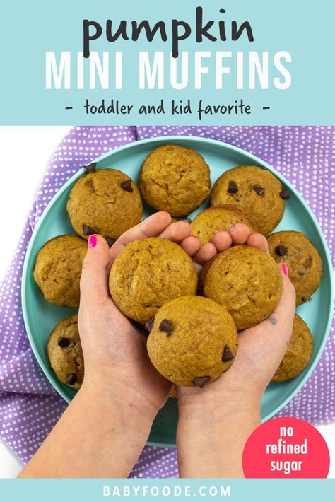 Healthy Mini Pumpkin Muffins for Toddler + Kids Organic Baby Food Recipes, Muffins For Toddlers, Pumpkin Mini Muffins, Mini Pumpkin Muffins, Toddler Muffins, Baby Muffins, Frozen Pumpkin, Toddler Breakfast, Toddler Snacks