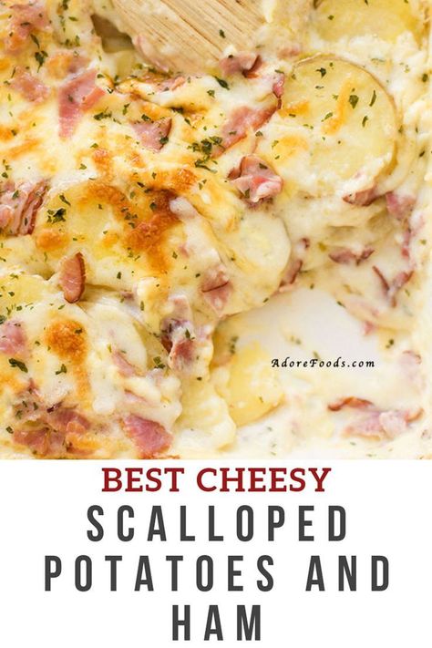 Best Cheesy Scalloped Potatoes, Easy Scalloped Potatoes And Ham, Scalloped Potatoes And Ham Recipe, Easy Scalloped Potatoes Recipe, Potatoes And Ham, Ham Dishes, Scalloped Potatoes Easy, Cheesy Scalloped Potatoes, Scalloped Potatoes And Ham