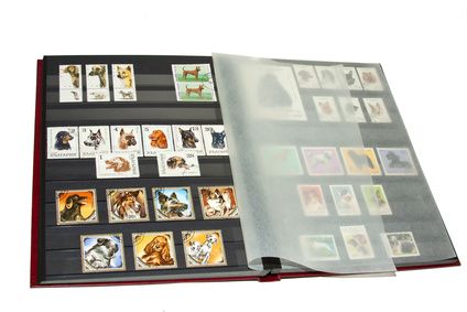 How to organize your postage stamp collection Stamp Album Ideas, Stamp Collecting Storage, Postage Stamp Storage, Postage Stamp Display, Stamp Collection Display, Stamp Collection Ideas, Postage Stamp Collecting, Loose Leaf Binder, Usa Stamps