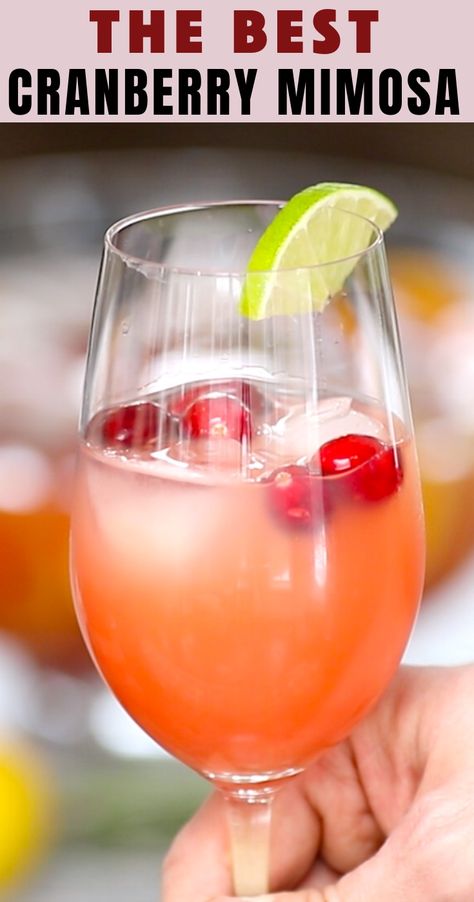 How to Make Mimosas Mimosa Recipe Without Orange Juice, Mimosa Without Orange Juice, Cranberry Mimosa Champagne, How To Make A Mimosa, Champagne Brunch Ideas, Mimosa Ideas, Champagne And Orange Juice, How To Make Mimosas, Cranberry Mimosa Recipe