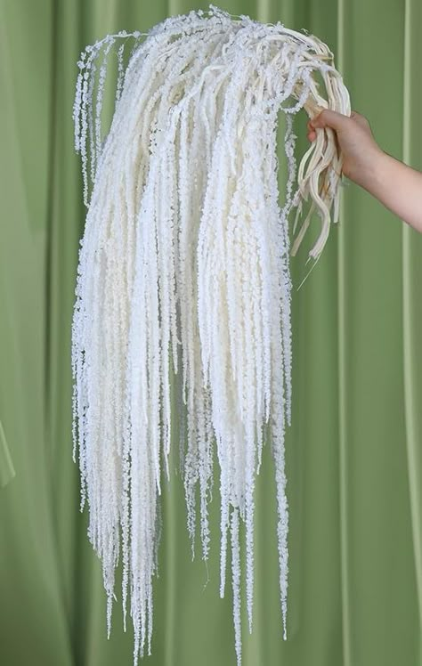 Amazon.com: 10Pcs Real Preserved Amaranthus Hanging Wedding Flowers - 23" Bleached White Dried Flowers for Wedding Arch Flowers, Wisteria Flowers Arrangement, Garlands, Home Vase Decor, Wall Hanging : Home & Kitchen White Hanging Amaranthus, Dry Flowers Decor, White Hanging Flowers, White Amaranthus, Dried Flower Wedding Decor, Hanging Wedding Flowers, Flower Chandelier Diy, Flowers For Wedding Arch, Bleached Flowers