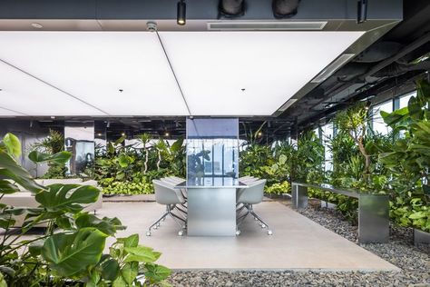 Concrete Office, Design Studio Office, Green Facade, Green Office, New Architecture, Outdoor Office, Landscape And Urbanism, Cultural Architecture, Office Plants