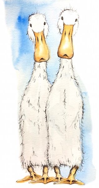 Indian Runner Ducks, Runner Ducks, Duck Print, Art Fantaisiste, Photographer Pictures, Art Et Illustration, Arte Animal, Art And Illustration, Watercolor Bird