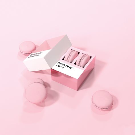 Matches Packaging, Macaron Designs, Macaron Packaging, Macaron Boxes, Luxury Packaging Design, Dessert Packaging, Bakery Packaging, Pantone Colors, Cool Packaging