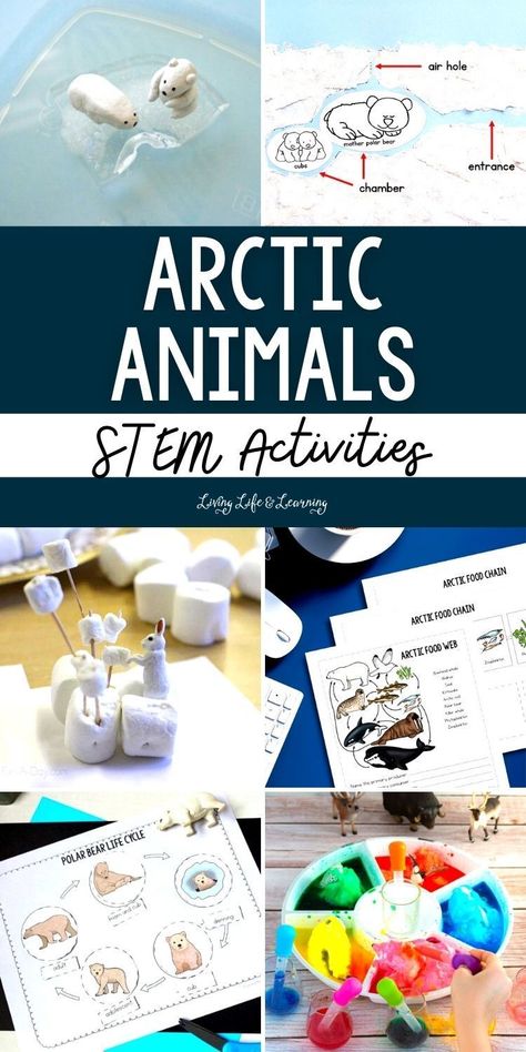 These Arctic Animals STEM Activities are not only entertaining, but they also provide a unique opportunity for children to learn about the fragile ecosystem of the Arctic. Through homeschool hands-on experiments and immersive activities, children will gain a deep understanding of how polar animals adapt to their harsh environment and the effects of climate change on their habitats. Arctic Habitat Activities, Arctic Science Experiments For Kids, Artic Fox Activities For Kids, Polar Habitat Project, Northern Lights Activities For Kids, Arctic Activities For Kids, Animals Stem Activities, Arctic Habitat Project For Kids, Animal Stem Activities