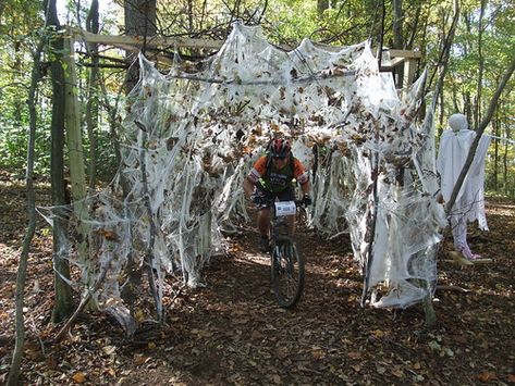 Spider Web Tunnel on Hoyles Mill Trail | mcfeelion | Flickr Creepy Halloween Diy, Haunted Trail Ideas, Wood Spider, Haunted Halloween Party, Halloween Decorations Diy, Haunted Woods, Haunted House Diy, Halloween Haunted House Decorations, Haunted Hayride