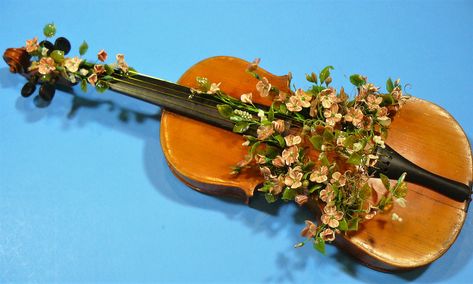 1910 Violin covered in Old English Roses sculpted from glass. Barbara Svetlick Artist Old English Roses, Violin Art, English Roses, Glass Flowers, Old English, Aesthetic Images, Art Of Living, Violin, Floral Wedding