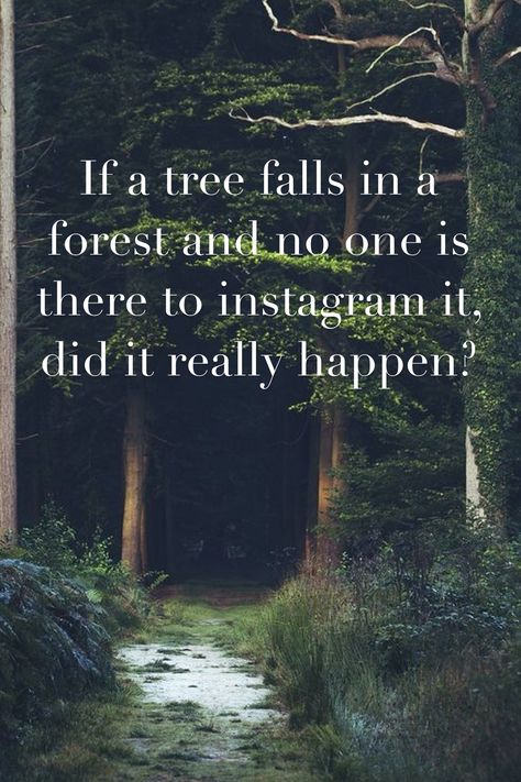 If a tree falls in a forest -modern day quote If A Tree Falls In The Forest Quote, Forest Quotes, Tree Quotes, Paper Play, Literature Quotes, Autumn Quotes, Tall Trees, Healthy Relationship, In The Forest