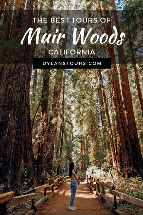 The easiest way to see Muir Woods in California is with a tour but not all tours are the same. We've got all the details on the best Muir Woods tours so you can have the best experience visiting this San Francisco icon. #MuirWoods #Tour #SanFrancisco #California #USA #UnitedStates #Travel Muir Woods California, Northern California Travel, Garden Sanctuary, Cali Trip, California Trip, Travel California, Muir Woods, Sonoma Valley, Visit California