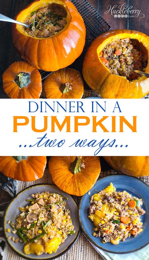 Meals In A Pumpkin, Recipes In A Pumpkin, Dinner In A Pumpkin Six Sisters, Food In Pumpkins, Casserole In A Pumpkin, Pie Pumpkin Recipes Dinner, Chicken In A Pumpkin, Dinner In A Pumpkin Hamburger, Dinner In Pumpkin