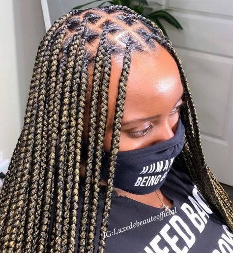 Highlighted Knotless Braids, Thick Knotless Braids, Knotless Braids With Highlights, Braids With Highlights, Long Knotless Braids, Knotless Braids Styles, New Trendy Hairstyles, Knotless Braids Hairstyles, Short Box Braids Hairstyles