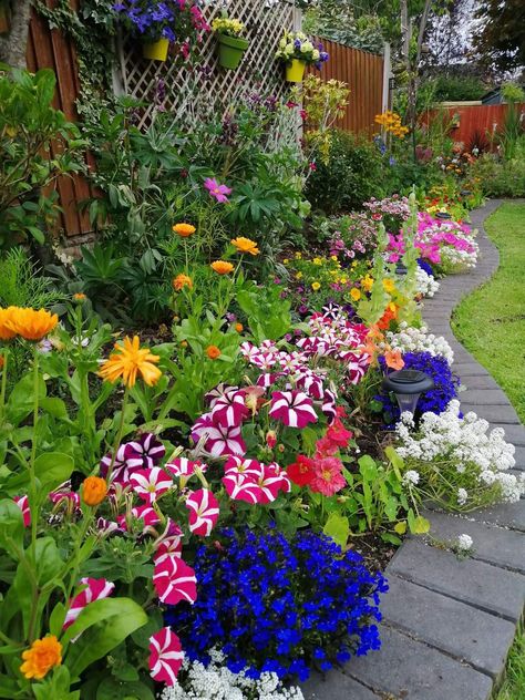 Colorful Gardens, Pretty Flowers Photography, Green Patio, Fairy Garden Pots, Diy Gazebo, Front Deck, Flower Bed Ideas, Patio Plants, Flower Gardens